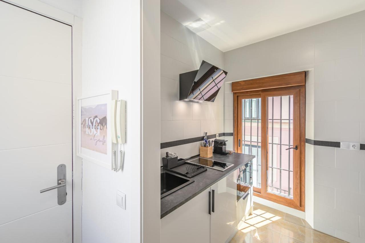 Isg Zaragoza-free Parking Apartment *